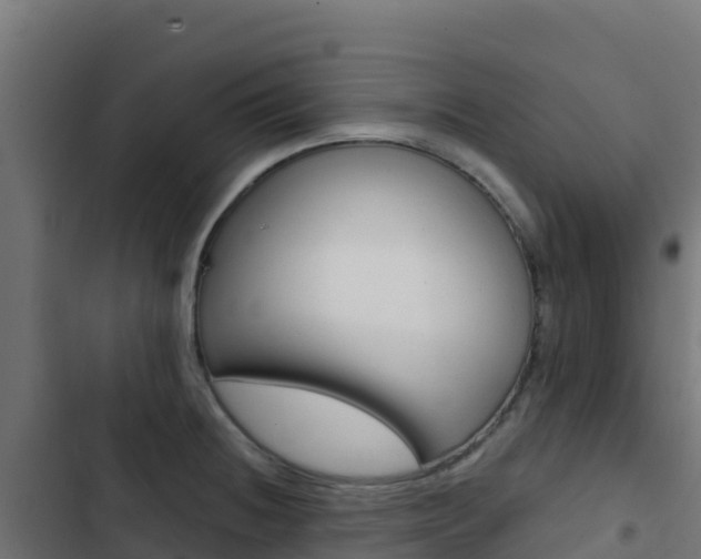 X0000103441236200809121053