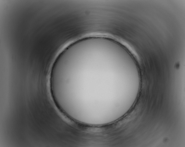 X0000103441237200809121053