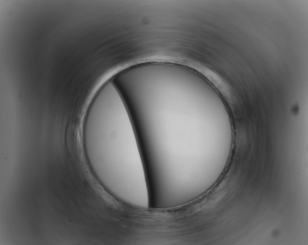 X0000103441238200809121053