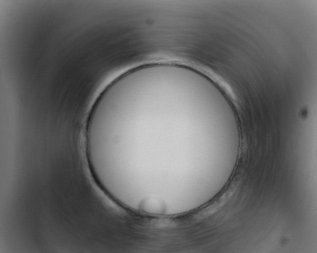 X0000103441239200809121053