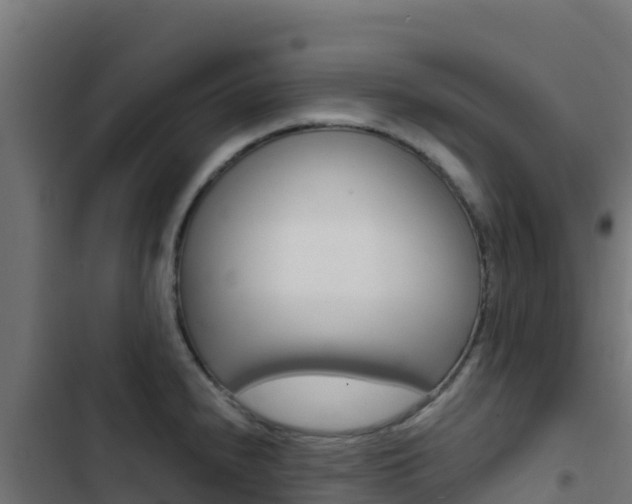 X0000103441240200809121053