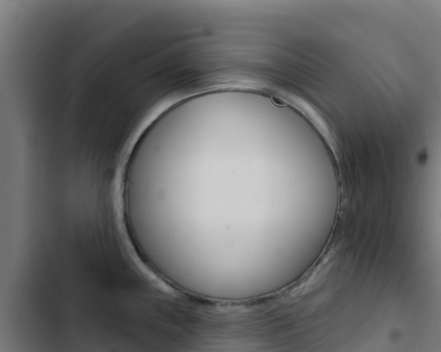 X0000103441243200809121053