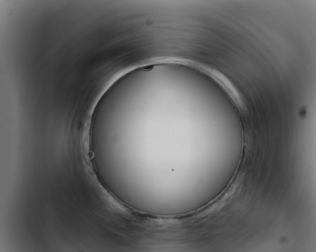 X0000103441244200809121053