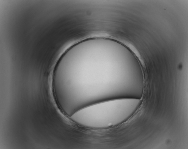 X0000103441245200809121053