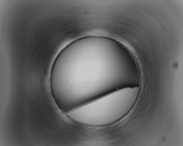 X0000103441248200809121053