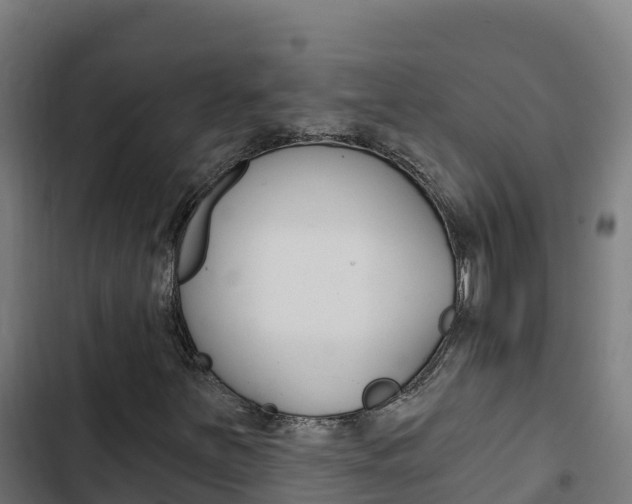 X0000103441251200809121052