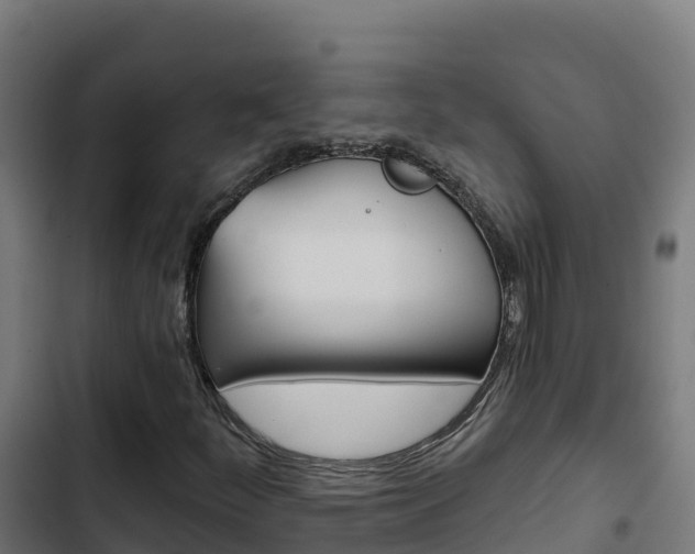 X0000103441252200809121052