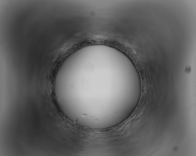 X0000103441253200809121052