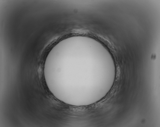 X0000103441254200809121052