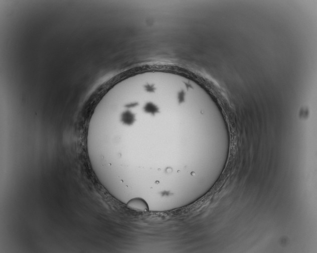 X0000103441255200809121052