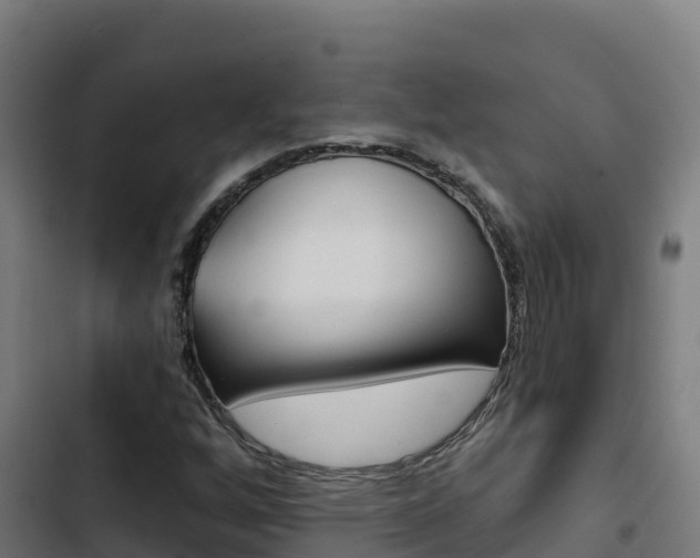 X0000103441256200809121052