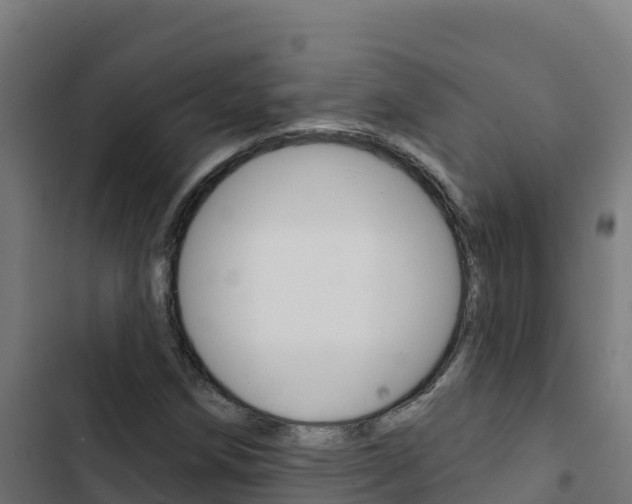 X0000103441258200809121052