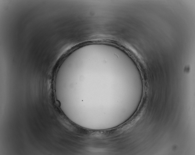 X0000103441259200809121052