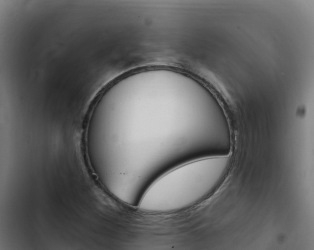 X0000103441260200809121052