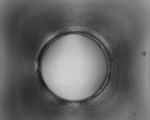 X0000103441261200809121052