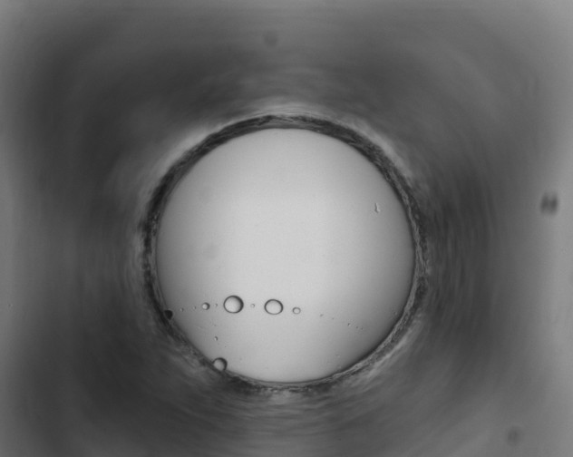 X0000103441263200809121052