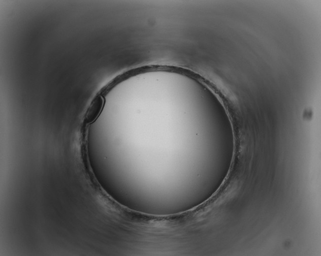 X0000103441264200809121052