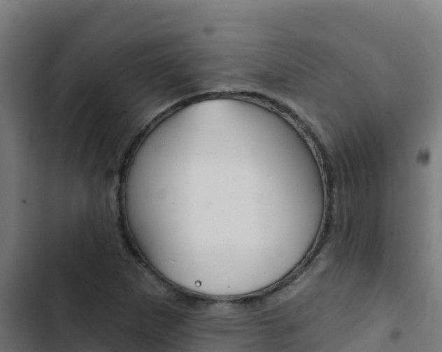 X0000103441265200809121052