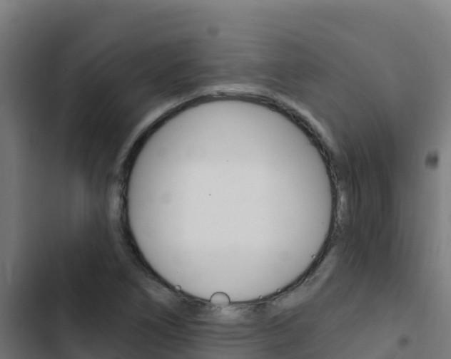 X0000103441266200809121052