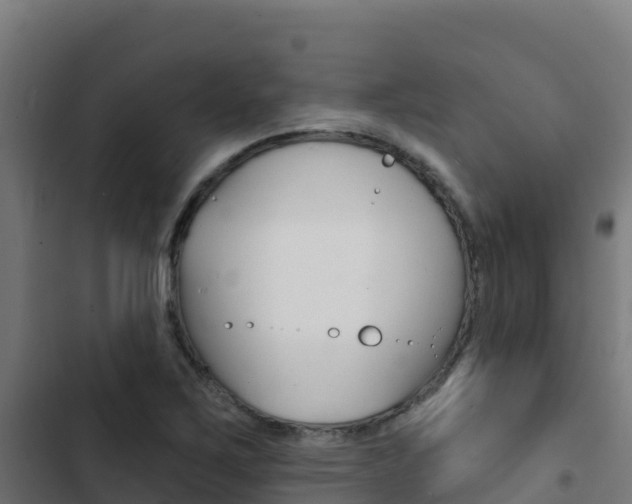 X0000103441267200809121052