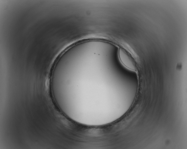 X0000103441268200809121052