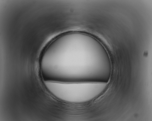 X0000103441270200809121052