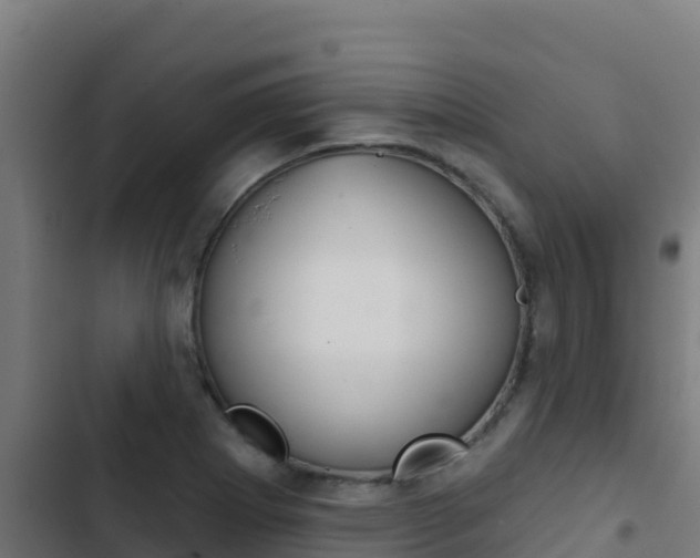 X0000103441273200809121052