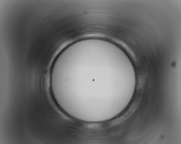 X0000103441274200809121052