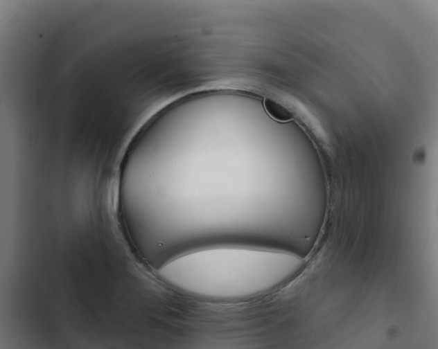 X0000103441276200809121052