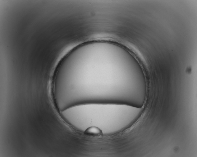 X0000103441277200809121052