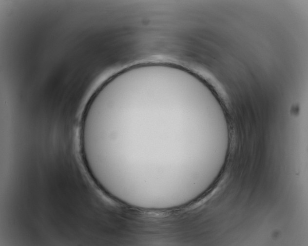 X0000103441278200809121052