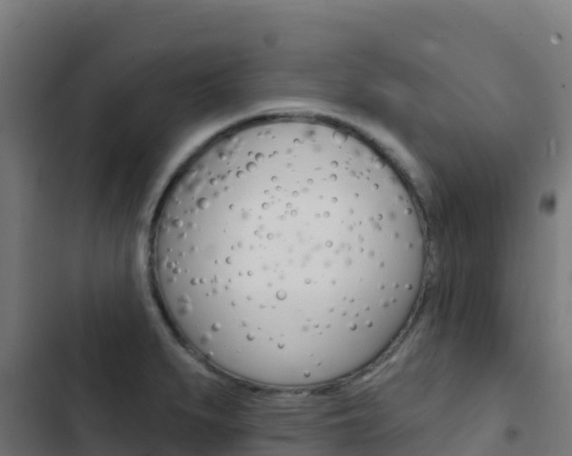 X0000103441279200809121052