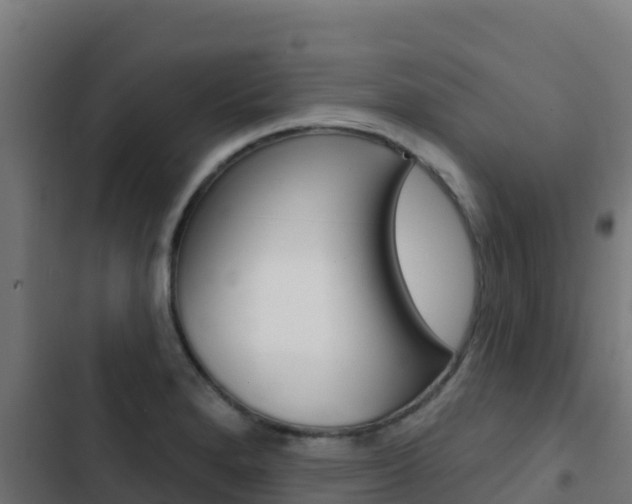 X0000103441280200809121052