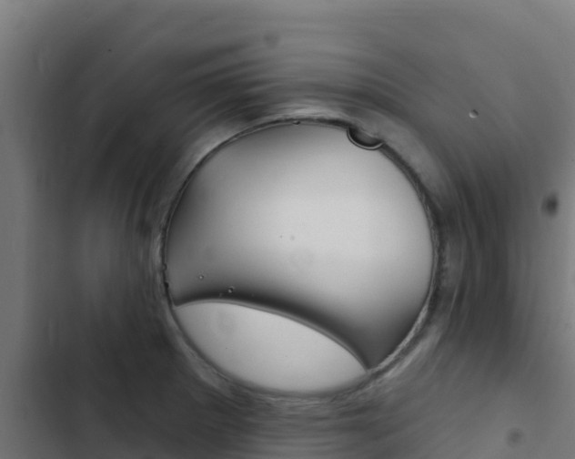 X0000103441281200809121052
