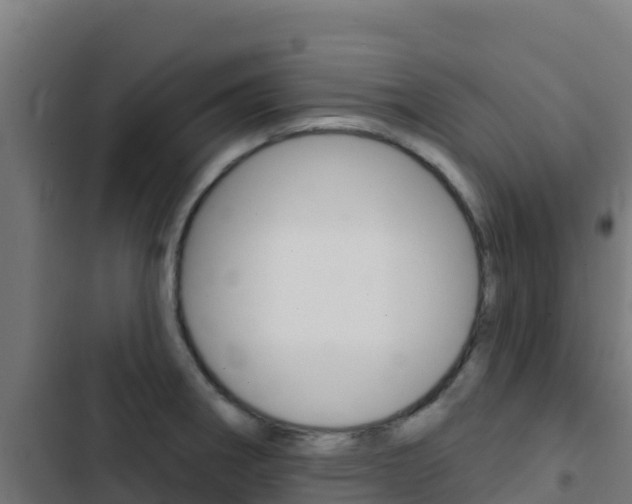 X0000103441282200809121052