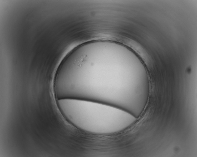 X0000103441283200809121052