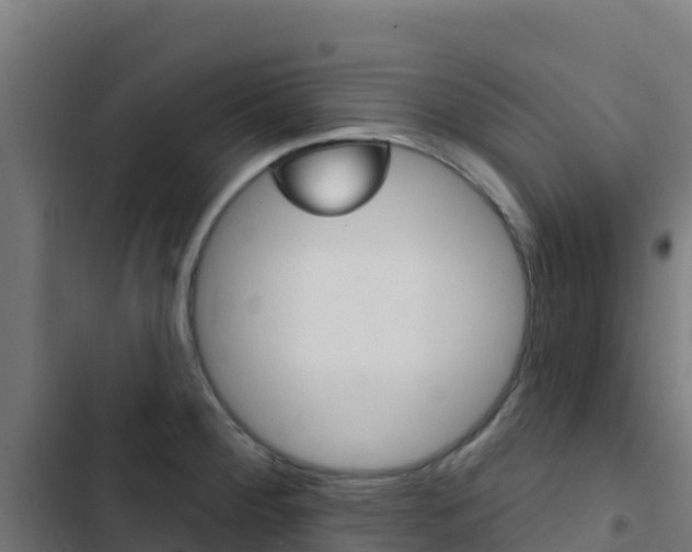X0000103441284200809121052