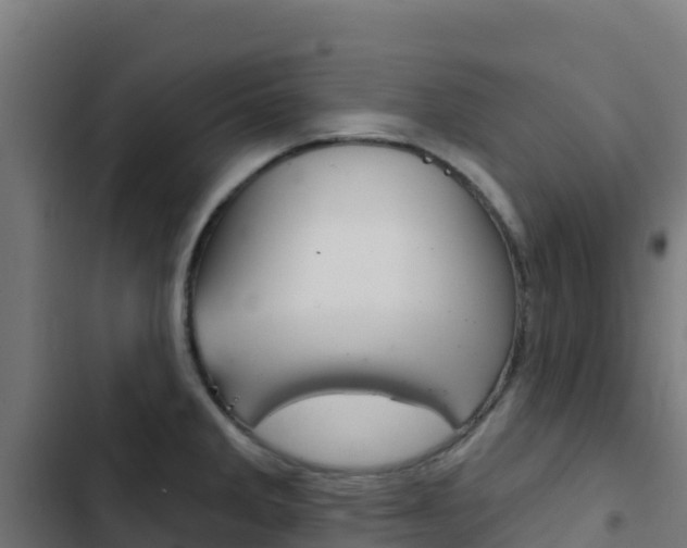 X0000103441285200809121052