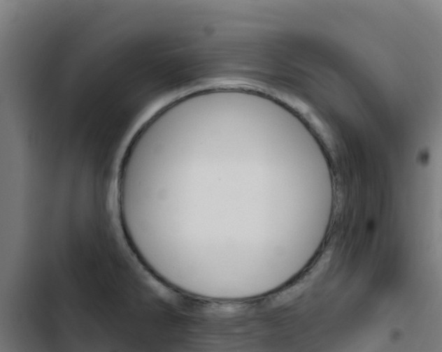 X0000103441286200809121052