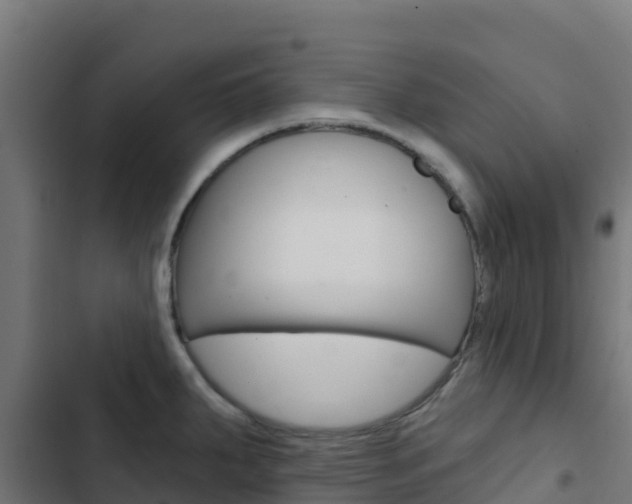 X0000103441287200809121052
