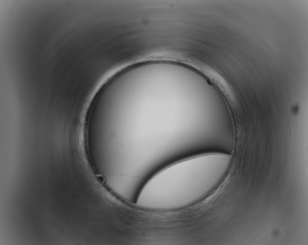 X0000103441288200809121052