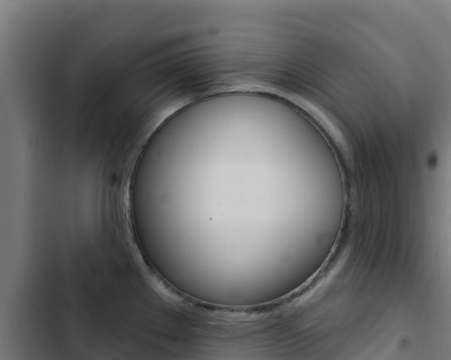 X0000103441289200809121052