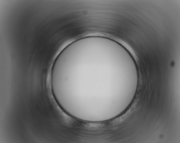 X0000103441290200809121052