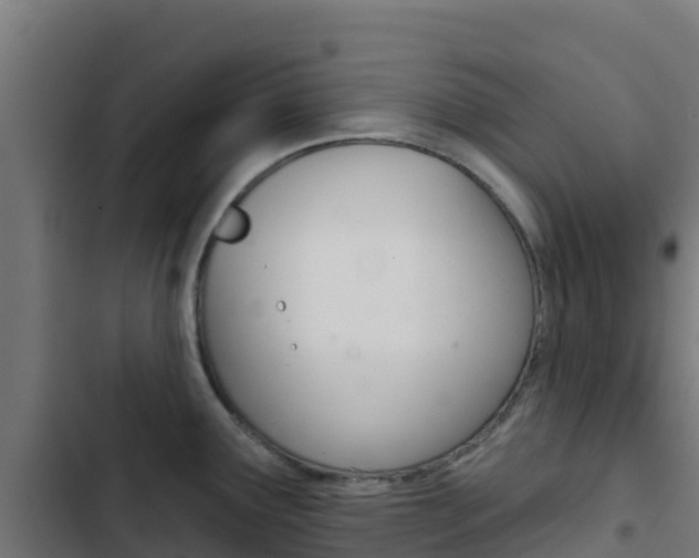 X0000103441291200809121052