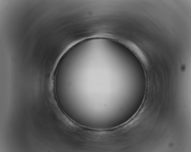 X0000103441292200809121052