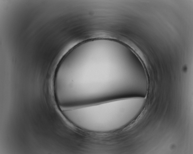 X0000103441293200809121052