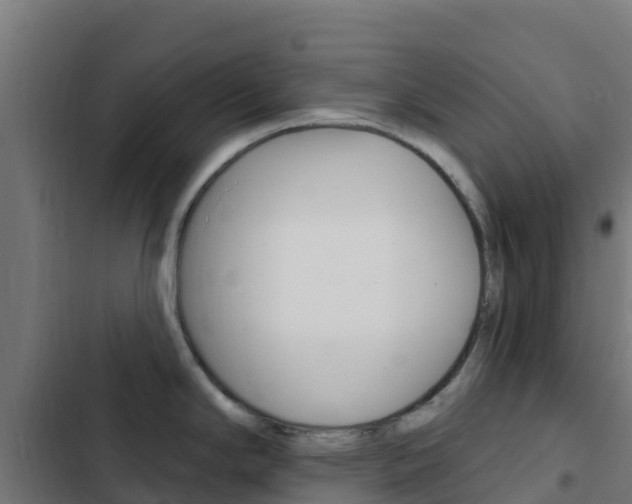 X0000103441294200809121052