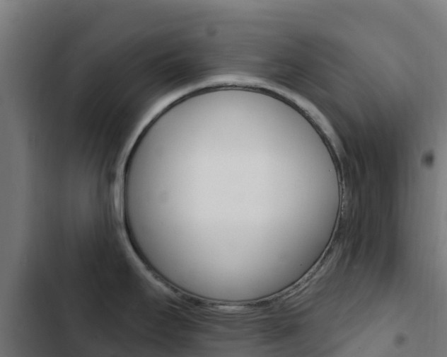 X0000103441295200809121052
