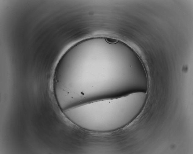 X0000103441296200809121052