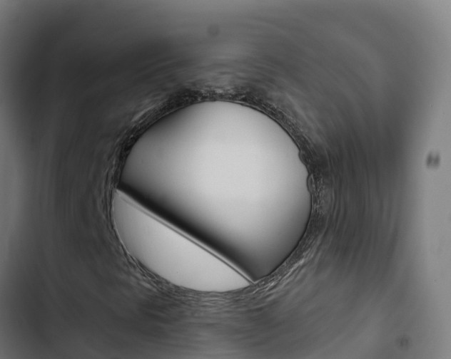 X0000103441297200809121051